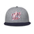 USA x Baseballism Logo Cap - Grey